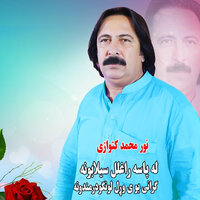 Grani Yoral Lwang Darmandoona - Noor Mohammad katawazai