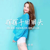 挥挥手回回头 - 苏谭谭
