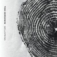 Belong Here - Tom Gershwin & Colin Stranahan & David Ambrosio & Mike Bjella & Perry Smith