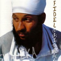 No Lo Lamento - FIDEL NADAL