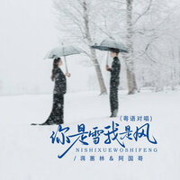 你是雪我是风 - 蒋蕙林 & 阿国哥