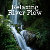 Mountain Canal Sounds - The Outdoor Library & Meditation Music Experience & Relaxing Music Playlist