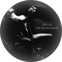 In My Pupils Reflection You - Viktor Gerk