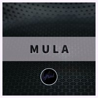 MULA - Pixel