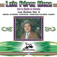 El Muchacho Alegre - Luis Perez Meza & La Banda La Costeña