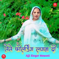 तेने फील्डिंग लगवा दी - Ajji Singer Mewati & Dabangg Bisru