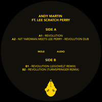 Revolution  feat. Lee Scratch Perry - Andy Martin & Lee "Scratch" Perry