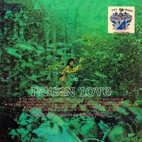 Zulu Love Magic - Stanley Wilson