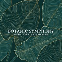 Spring Garden - Calming Music Sanctuary