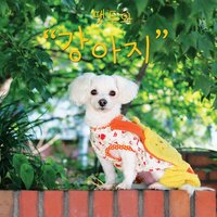 법을 바꾼 강아지 - FatDoo & Nusoul