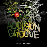 Malus - Addison Groove