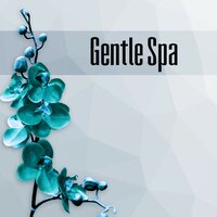 Spa Hotel - Amazing Spa Universe