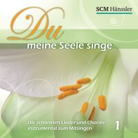 Ich lobe meinen Gott - Gerhard Schnitter & Dennis Thielmann