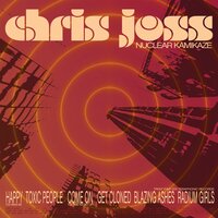 Blazing Ashes - Chris Joss