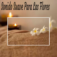 Ondulaciones del Tiempo - Sonido Suave