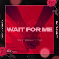 Wait for Me - David Correy & DJ Flow Fly