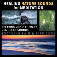Sleep Meditation: Night Ambience - Healing Power Natural Sounds Oasis