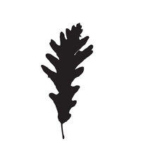 Divisio - Dimi Angelis & Jeroen Search