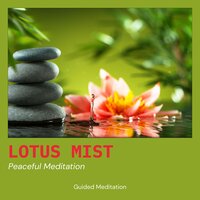 Soft Grass Meadow - Guided Meditation