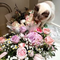 红色高跟鞋 - Swagger