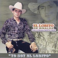 Mi Despida - El Lobito de Sinaloa
