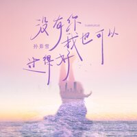 没有你我也可以过得好 - 孙茹雪 & DJ九零