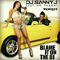 Blame It On the DJ - DJ Sanny J & Mr. Shammi