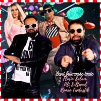 Sunt frumoase toate - Florin Salam & ALI SULTANUL & Romeo Fantastik