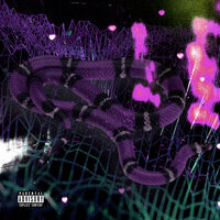 Змеиная кожа - RAWRBOY