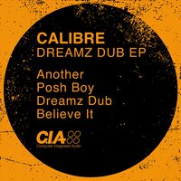 Dreamz Dub - Calibre