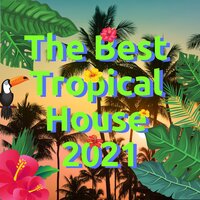 Joyride Tropical - Digi Beat & Francesco Digilio