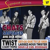 C'est pas serieux - Les Chats Sauvages