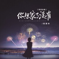 你想家了没有 - 蒋蕙林
