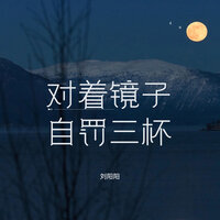 对着镜子自罚三杯 - 刘阳阳