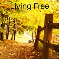 Hard Rains - Forest FX