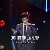Con Tim Mù Lòa Remix - Lương Gia Huy & ST