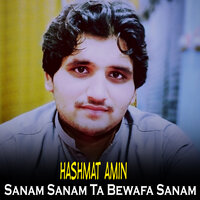 Sanam Sanam Ta Bewafa Sanam - Hashmat Amin
