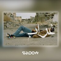غراب - Shadow
