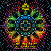 P5ych3d3lic 3xp3ri3nc3 - Name In Process & beatfreaque