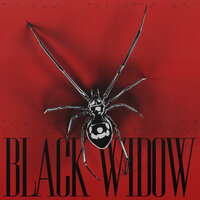 BLACK WIDOW - Alok & Kickbait & Ceres