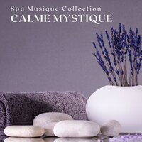 Musique de Méditation - Spa Musique Collection