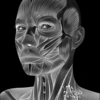 Mayhem - Tippa & Eevil Stöö