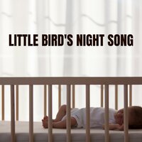Peaceful Penguins Waddle - Newborn Sleep Music Lullabies & BabySleepDreams & Baby Music Zone