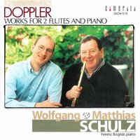 Andante et rondo, Op. 25: No. 1, Andante - Wolfgang Schulz, Matthias Schulz, Ferenc Bognar & Wolfgang Schulz & Matthias Schulz & Ferenc Bognar