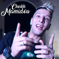 لي يجرح مايداويش - Cheikh Mamidou