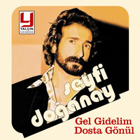 Vay Dünya Vay - Seyfi Doğanay