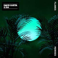 Flames - David Guetta & Sia