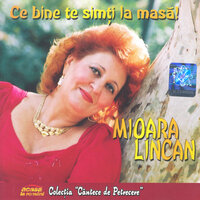 Lume, lume - Mioara Lincan