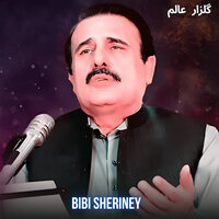 Bibi Sheriney - Gulzar Alam