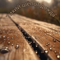 Тихий лес - Музыка для похода в дождливый день & Музыка для мотивации начала утра & Костер на зиму